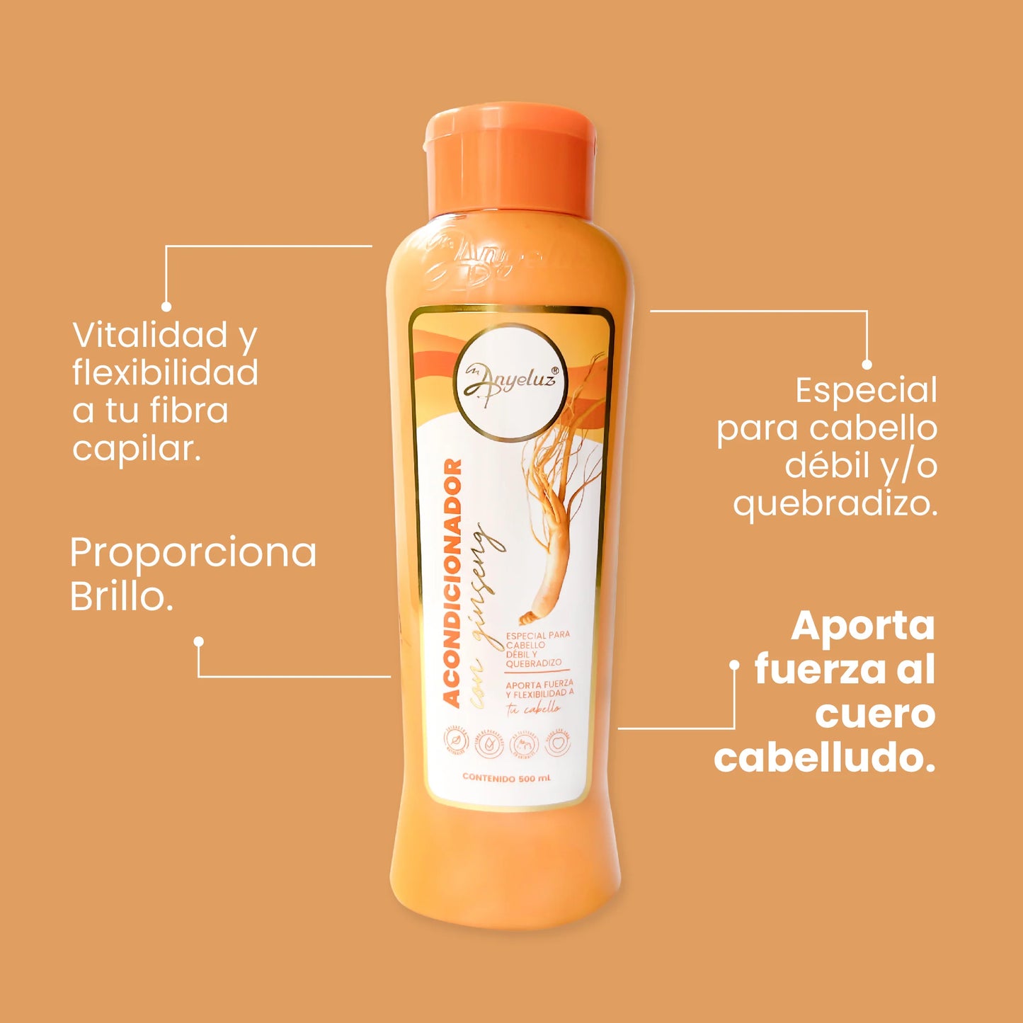 Kit dúo ginseng